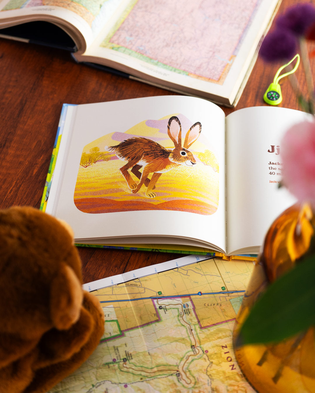 Animals of The National Parks Book by Fifty-Nine Parks